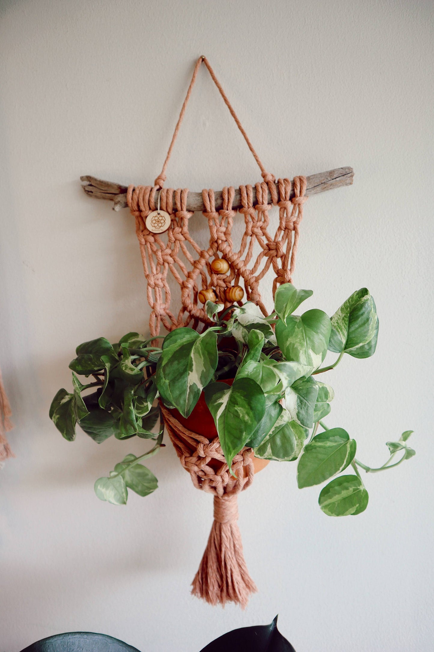 Simple Plant Hanger | Plant Accessories | Pink, White, & Mustard option
